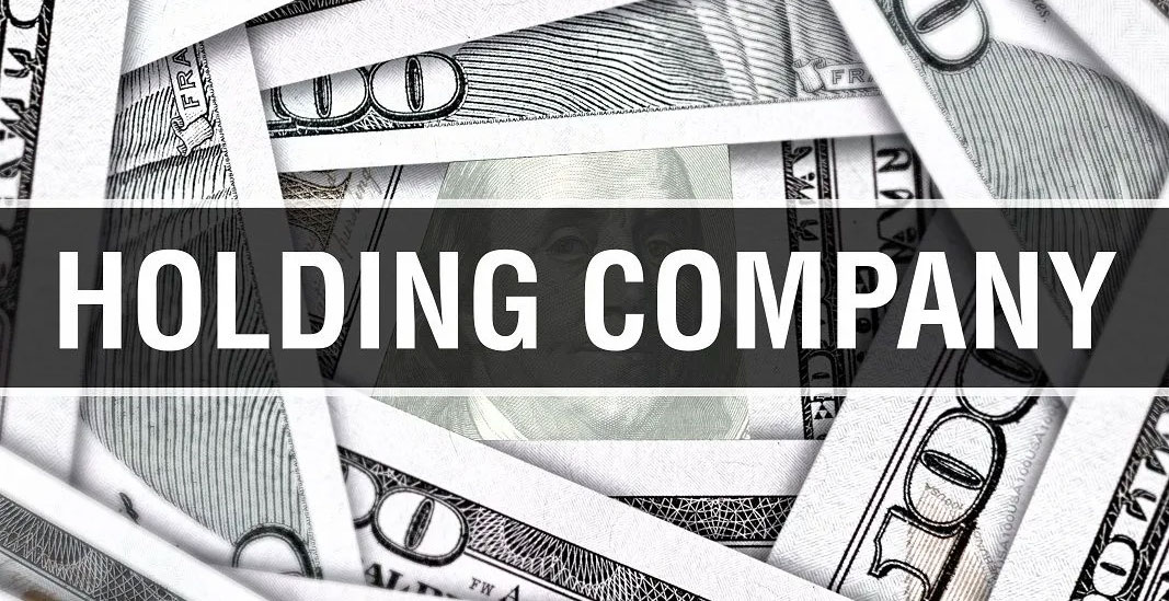 شرکت هلدینگ چیست؟