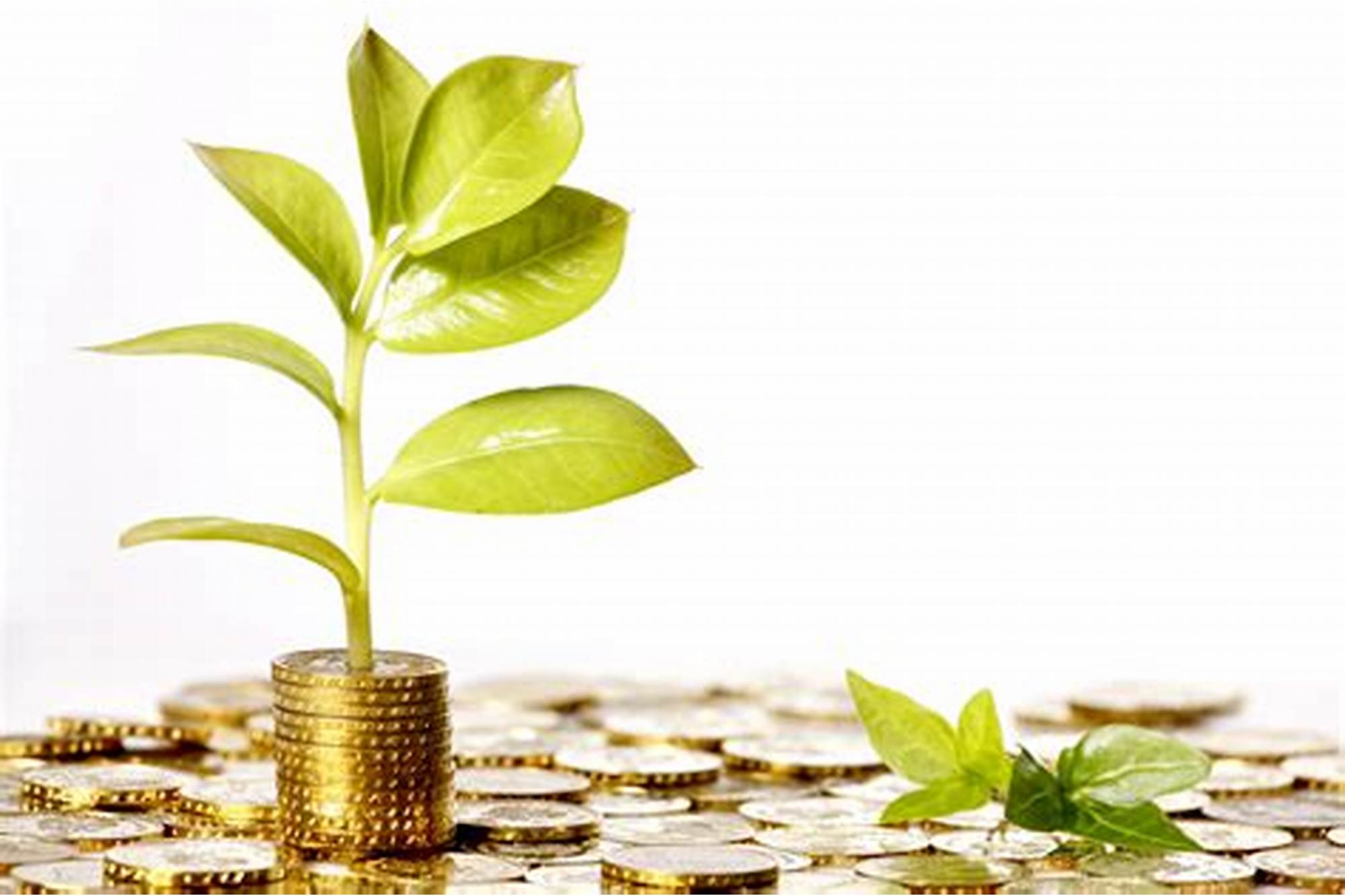 بهترین سرمایه گذاری در ایران کدام است؟